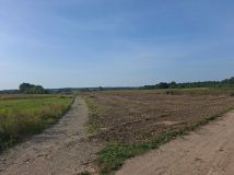 Działka rolno-budowlana Dąbrówki. Zdjęcie 1
