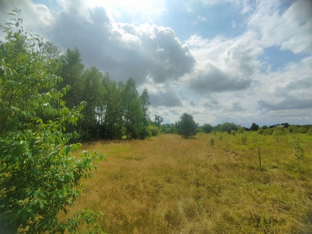 Działka budowlana Tomczyn. Zdjęcie 9