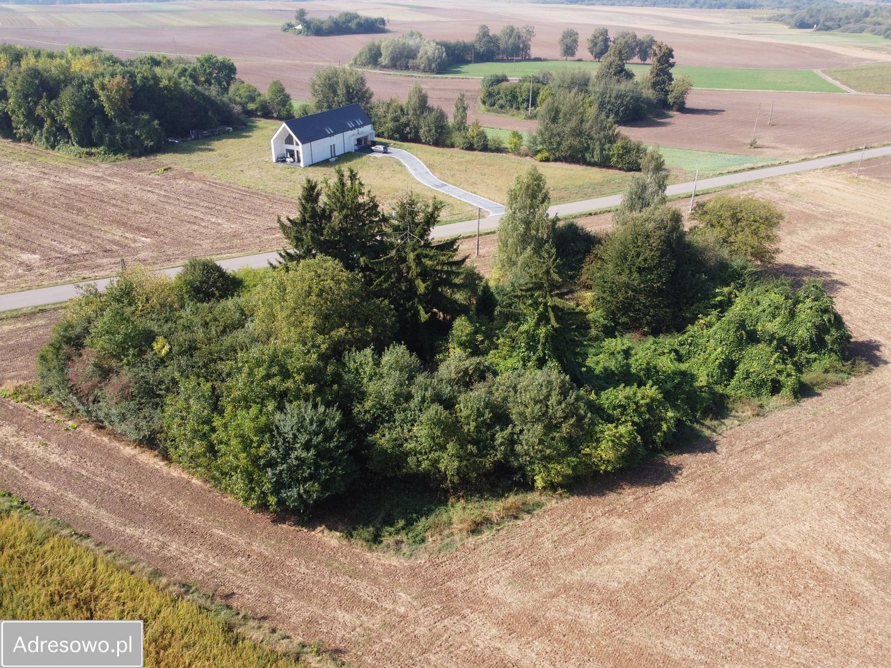 Działka rolno-budowlana Moszna-Kolonia. Zdjęcie 8