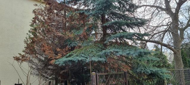 dom wolnostojący, 4 pokoje Pruszków. Zdjęcie 7