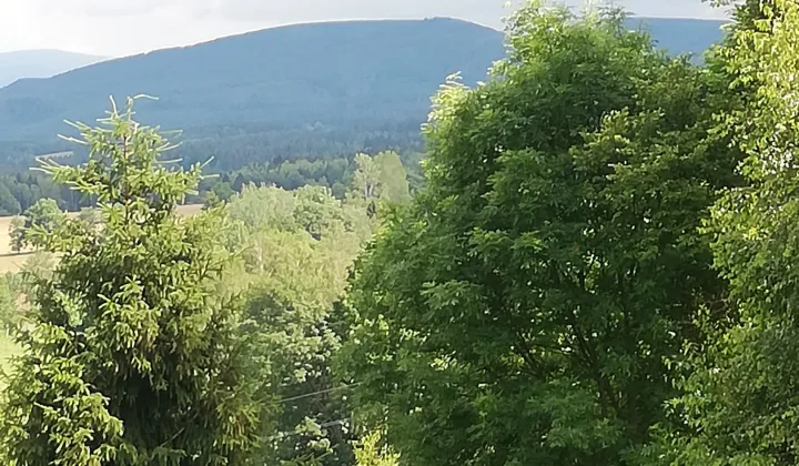 Działka rolno-budowlana Łężyce