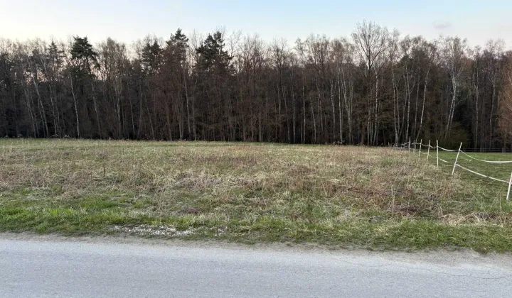 Działka budowlana Głogoczów