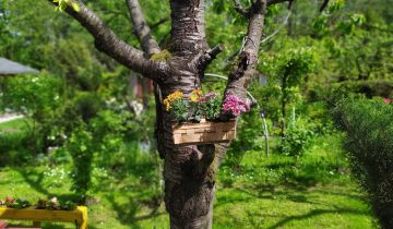 Działka rod Bielsko-Biała, ul. Krakowska