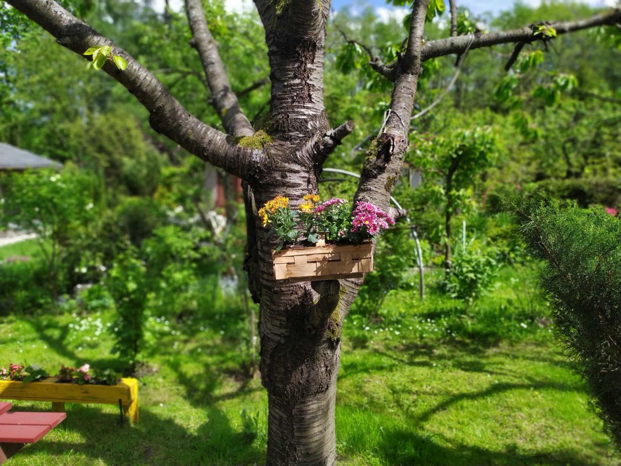 Działka rod Bielsko-Biała, ul. Krakowska. Zdjęcie 2