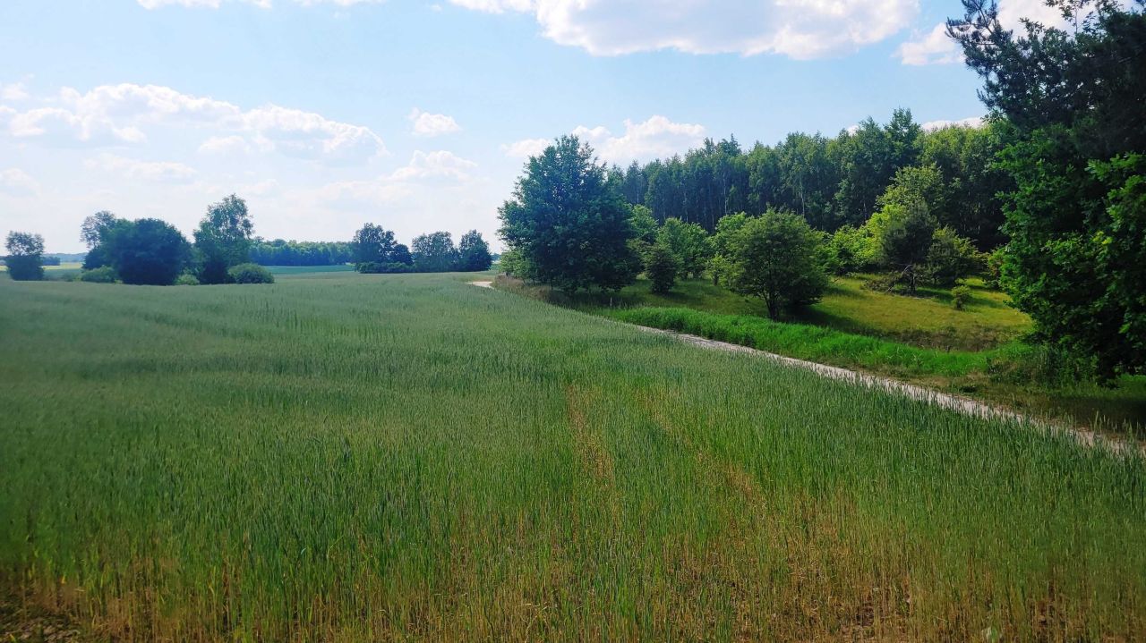 Działka rolno-budowlana Zawady