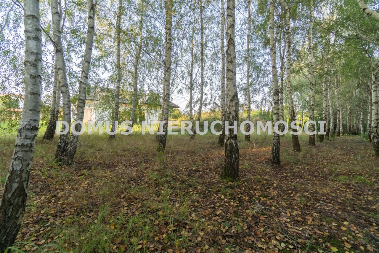 dom wolnostojący, 5 pokoi Janówka. Zdjęcie 27