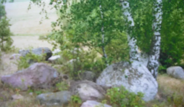 Działka rolno-budowlana Piaski