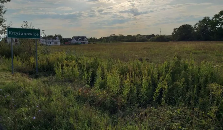 Działka budowlana Krzyżanowice, ul. Makowa