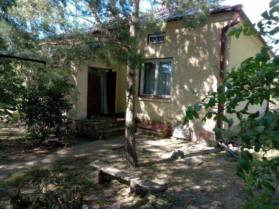 Działka siedliskowa Żabcze. Zdjęcie 7