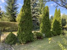 Działka rod Konstantynów Łódzki Żabiczki. Zdjęcie 4