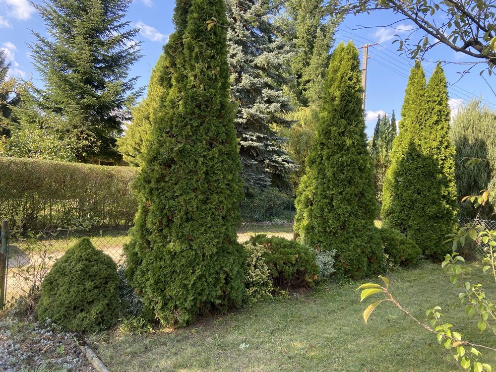 Działka rod Konstantynów Łódzki Żabiczki. Zdjęcie 5