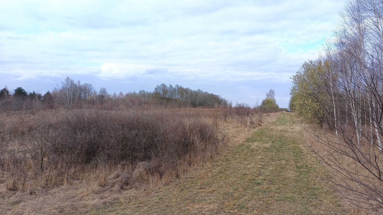 Działka rolna Rajec Poduchowny. Zdjęcie 4