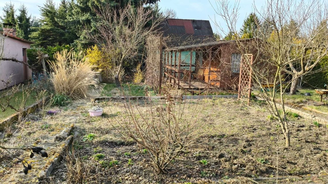 Działka rod Poznań Strzeszyn. Zdjęcie 4