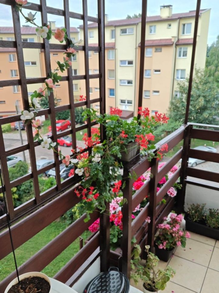 Mieszkanie 3-pokojowe Starachowice, ul. Piotra Wysockiego. Zdjęcie 8