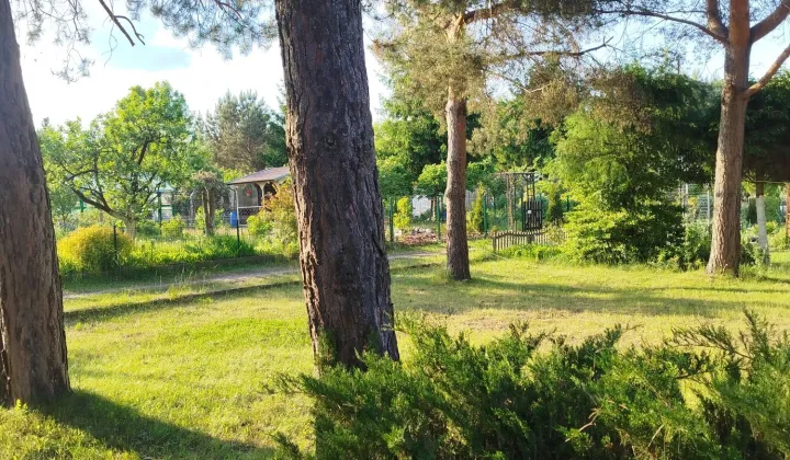 Działka rod Łódź Bałuty