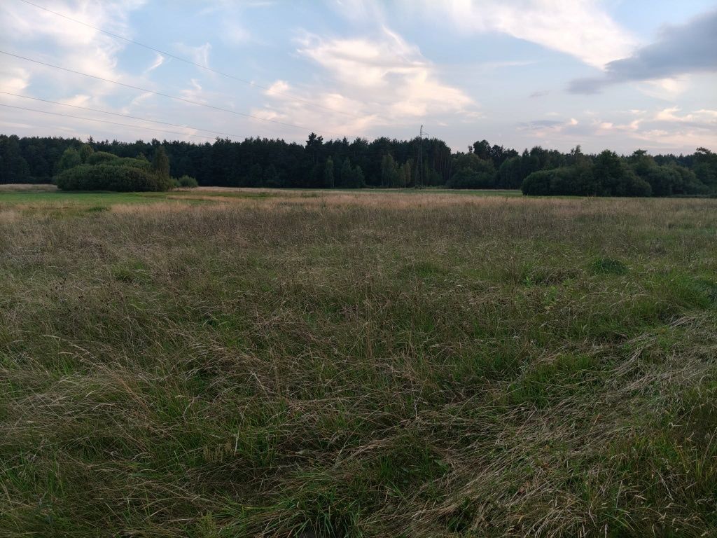Działka budowlana Basinów. Zdjęcie 5