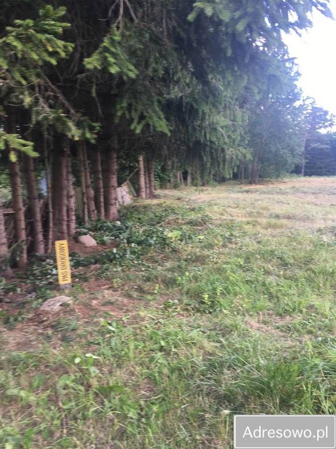 Działka inwestycyjna Rucianka. Zdjęcie 4