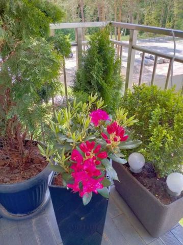 Mieszkanie 2-pokojowe Cedzyna. Zdjęcie 1