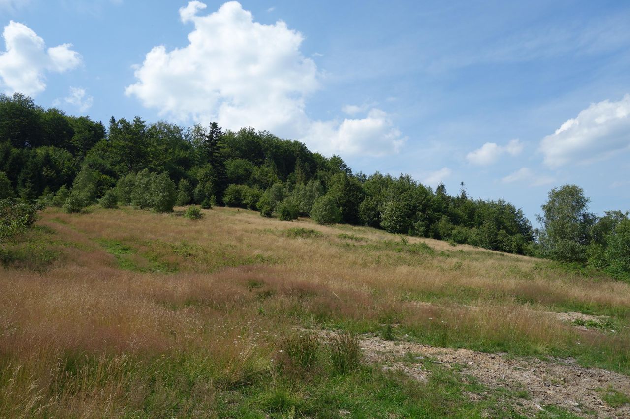 Działka inwestycyjna Ustroń Dobka, ul. Orłowa. Zdjęcie 5