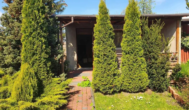 Działka rod Będzin Grodziec, ul. Marii Konopnickiej