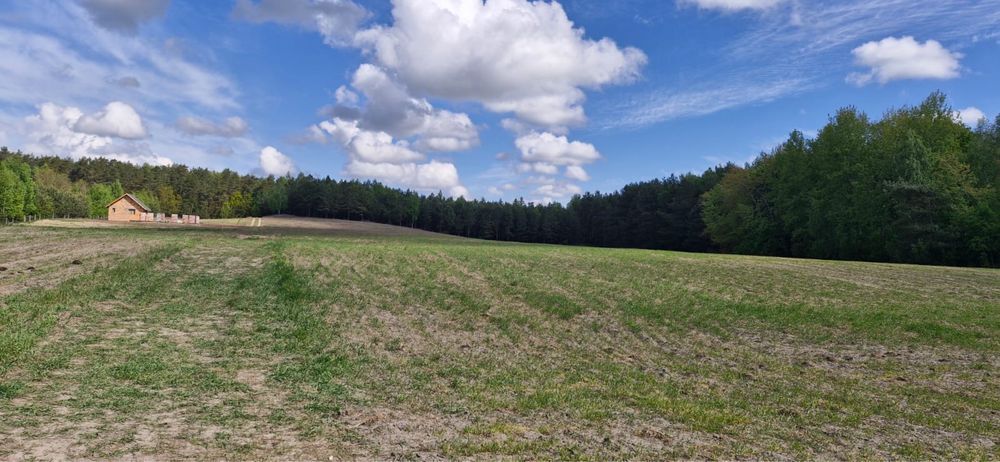 Działka rolno-budowlana Huta. Zdjęcie 4