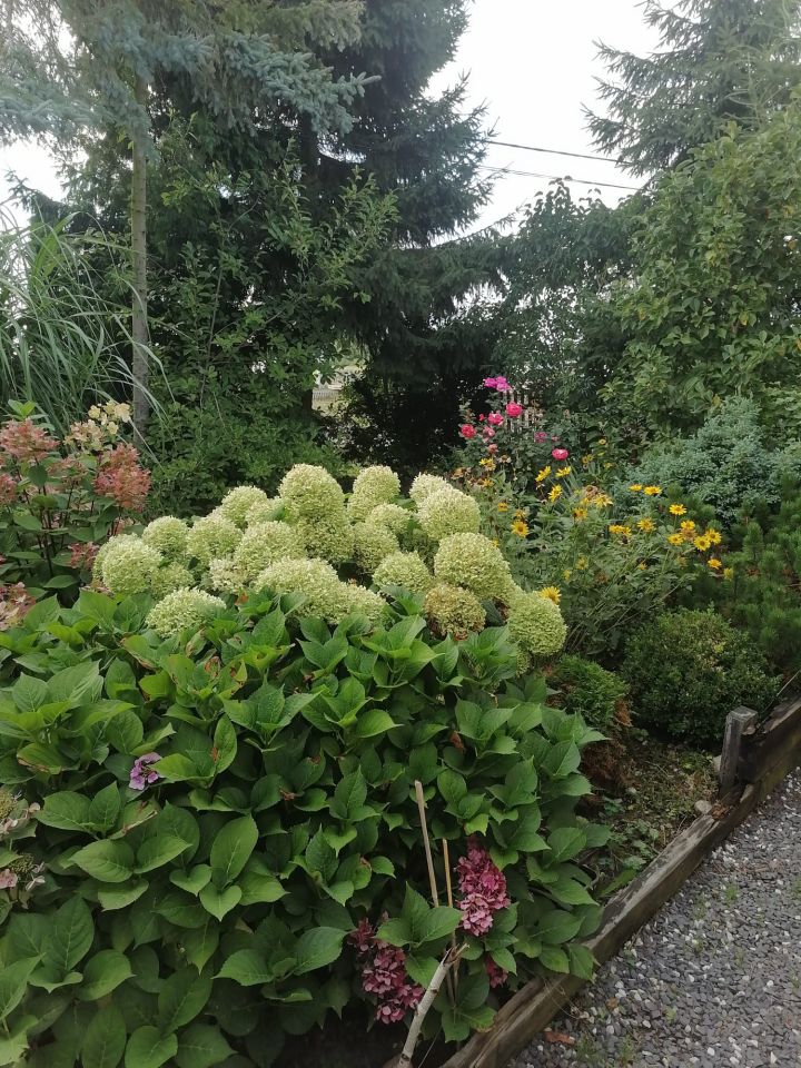 dom wolnostojący, 5 pokoi Michałów Grabina. Zdjęcie 7