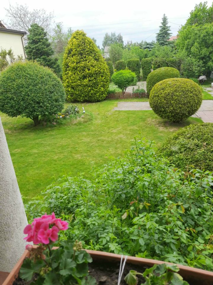 dom wolnostojący, 8 pokoi Sierpc, Targowa. Zdjęcie 1