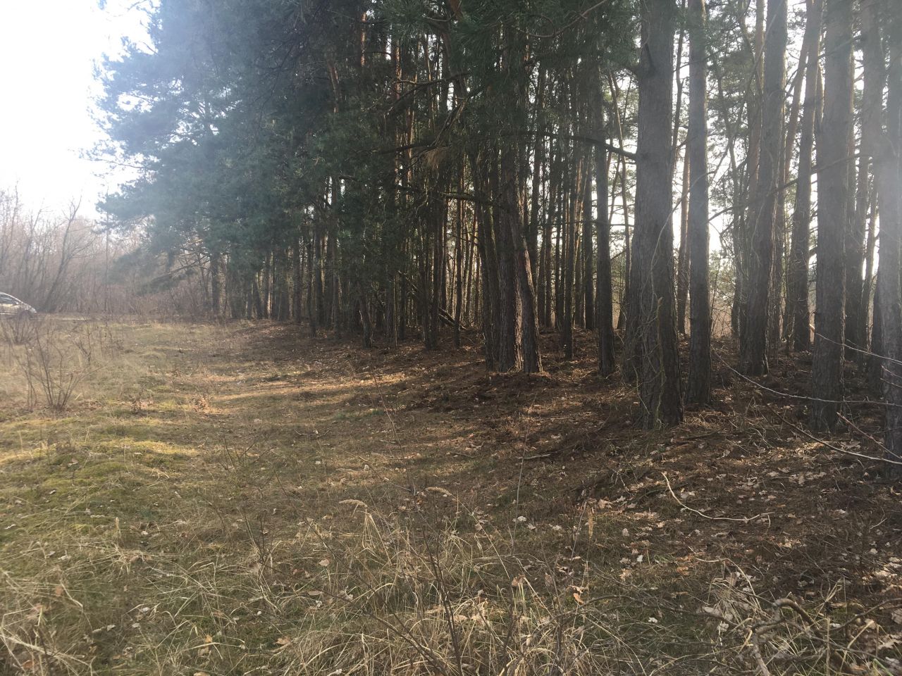 Działka rolno-budowlana Topolina, ul. Graniczna. Zdjęcie 6