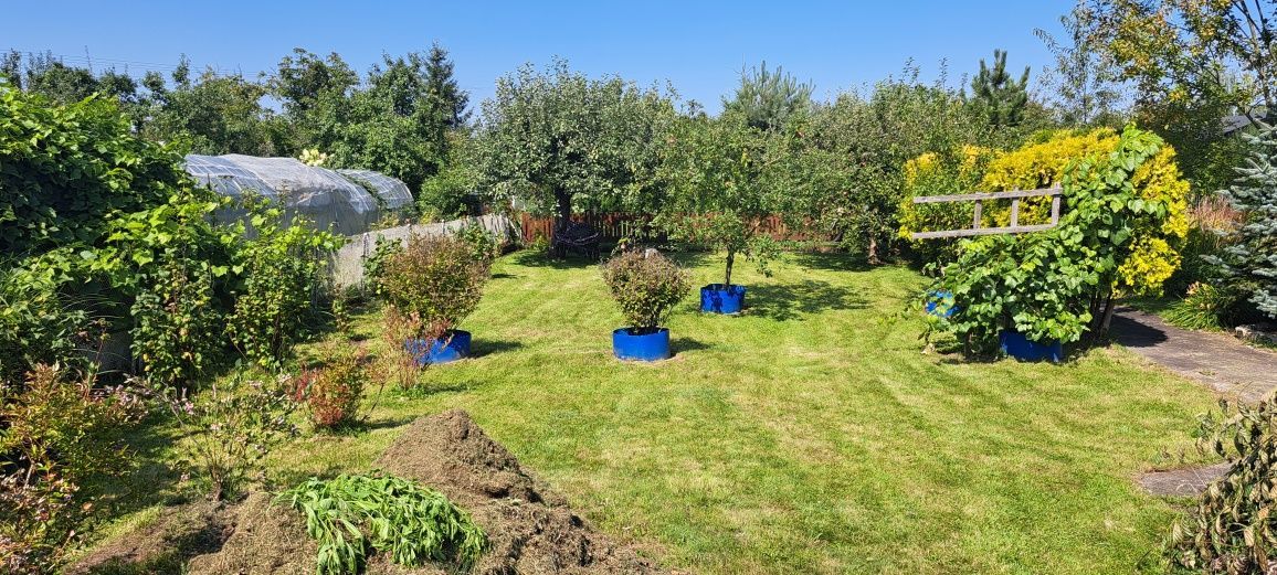 Działka rod Kępno, ul. Sportowa. Zdjęcie 5