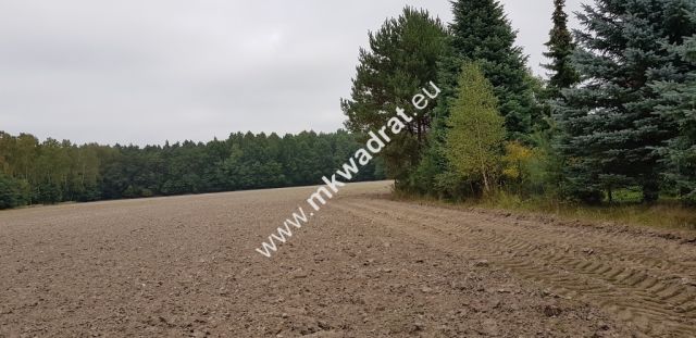 Działka Budy Wolskie. Zdjęcie 2