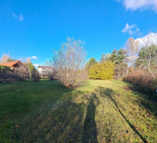 Działka budowlana Skierniewice Halinów, ul. Halinów. Zdjęcie 1