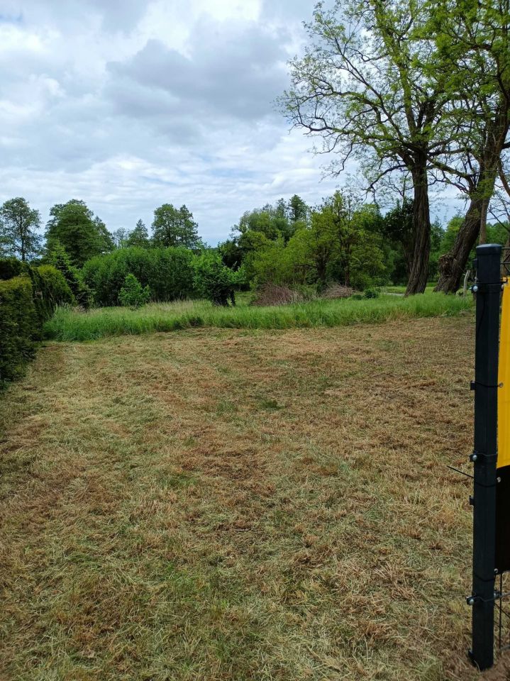 Działka budowlana Dargomyśl. Zdjęcie 2