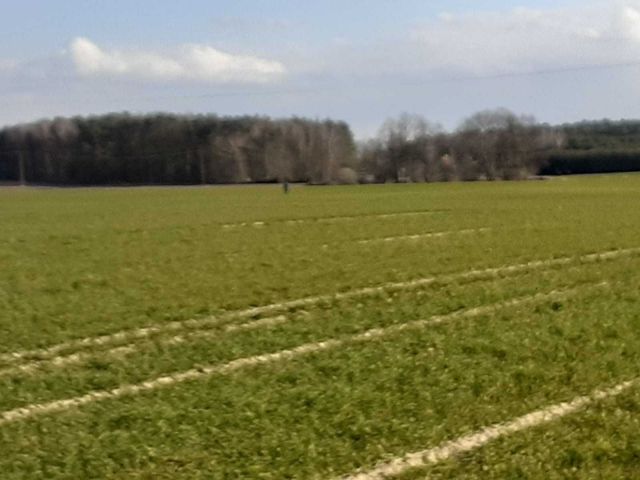 Działka rolna Skrzetusz. Zdjęcie 1