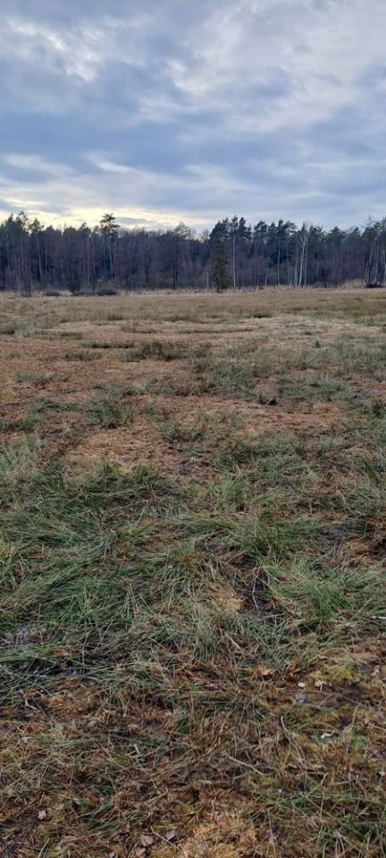 Działka rolna Antoniów. Zdjęcie 2