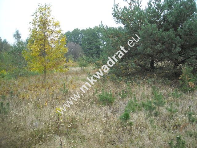 Działka budowlana Marynin. Zdjęcie 5