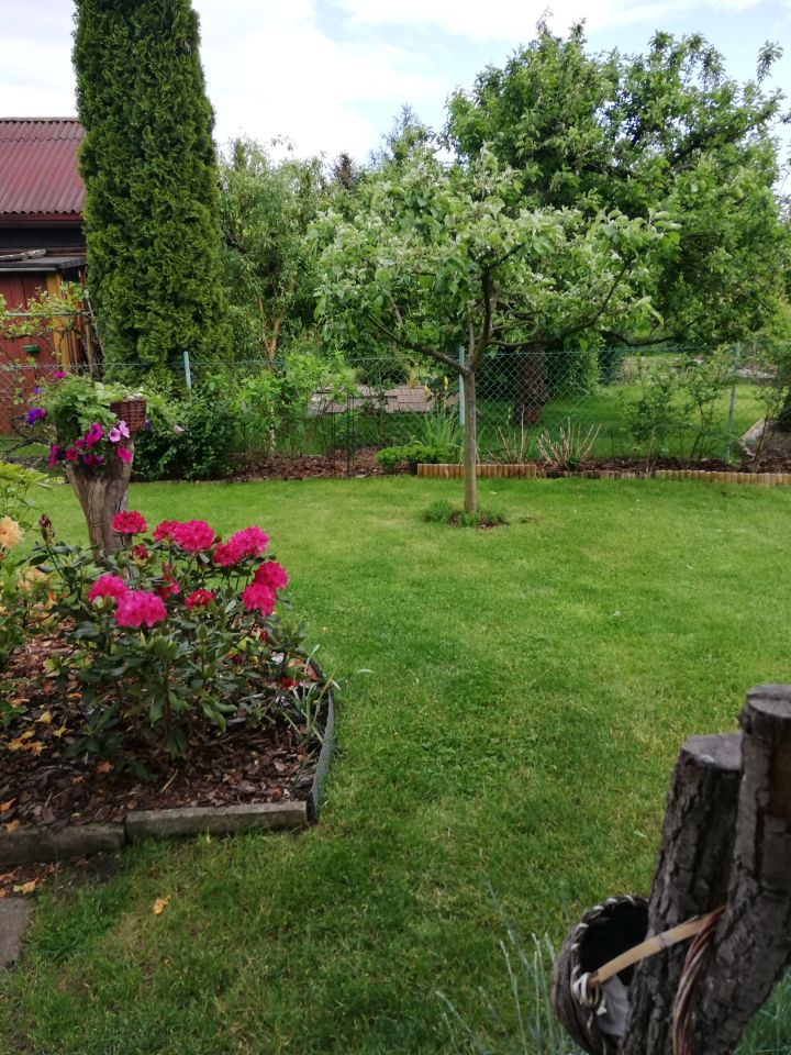 Działka rod Warszawa Bemowo, Dzialka ROD Bemowo II. Zdjęcie 20