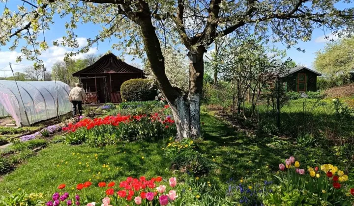 Działka rod Gliwice, ul. Ku Dołom