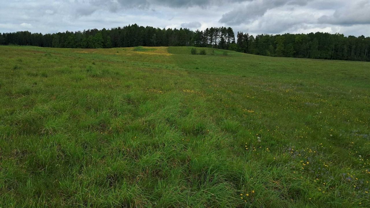 Działka rolna Słup