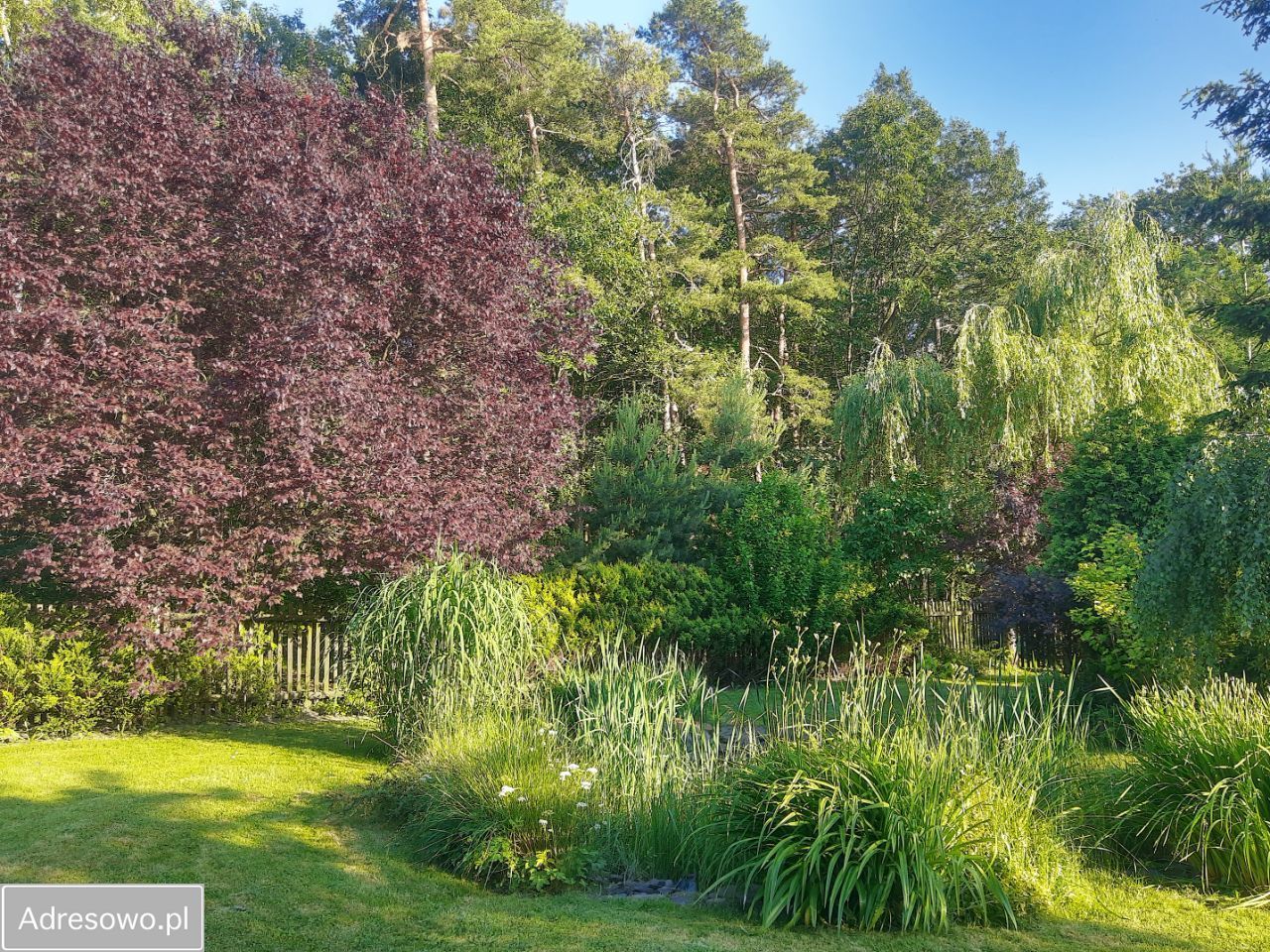 dom wolnostojący, 5 pokoi Pszczonki. Zdjęcie 10