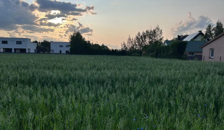 Działka rolno-budowlana Wilczyn