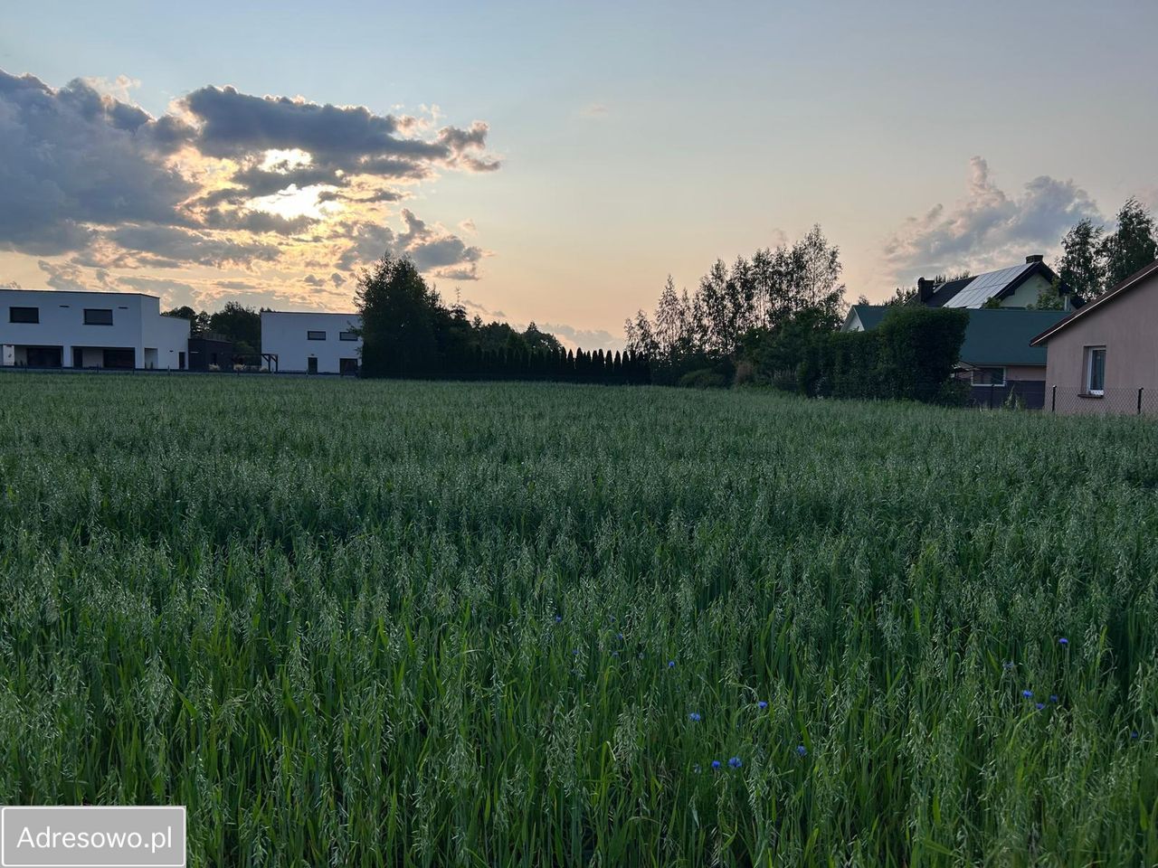 Działka rolno-budowlana Wilczyn