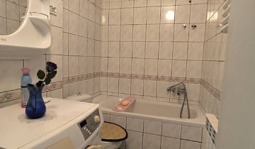 gospodarstwo, 6 pokoi Starokrzepice