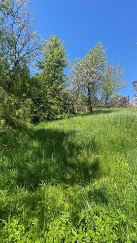 dom wolnostojący, 19 pokoi Krynica-Zdrój. Zdjęcie 12