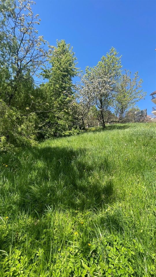 dom wolnostojący, 19 pokoi Krynica-Zdrój. Zdjęcie 12