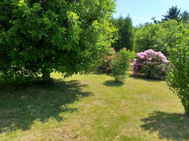 Działka rekreacyjna Zabrze Biskupice. Zdjęcie 1