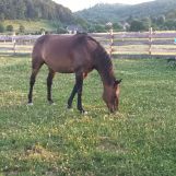 Działka budowlana Mikołajów. Zdjęcie 4