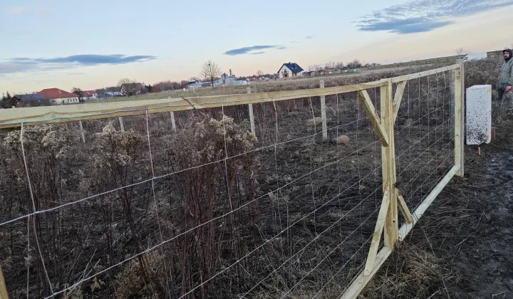 Działka budowlana Strzeszów, ul. Rumiankowa
