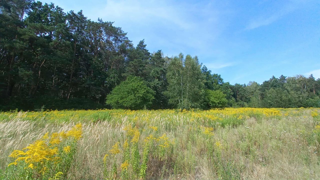 Działka budowlana Leszno, ul. Sochaczewska. Zdjęcie 3