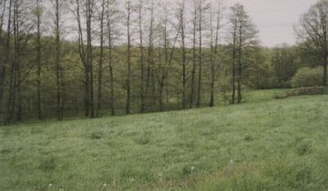 Działka rolna Mikołów Regielowiec, ul. Wschodnia