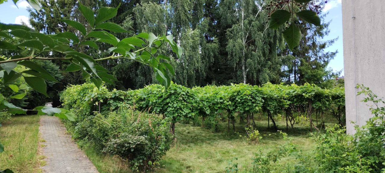 Mieszkanie 4-pokojowe Miechów, ul. Józefa Piłsudskiego. Zdjęcie 4